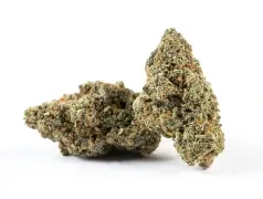 Flower Product Category Image